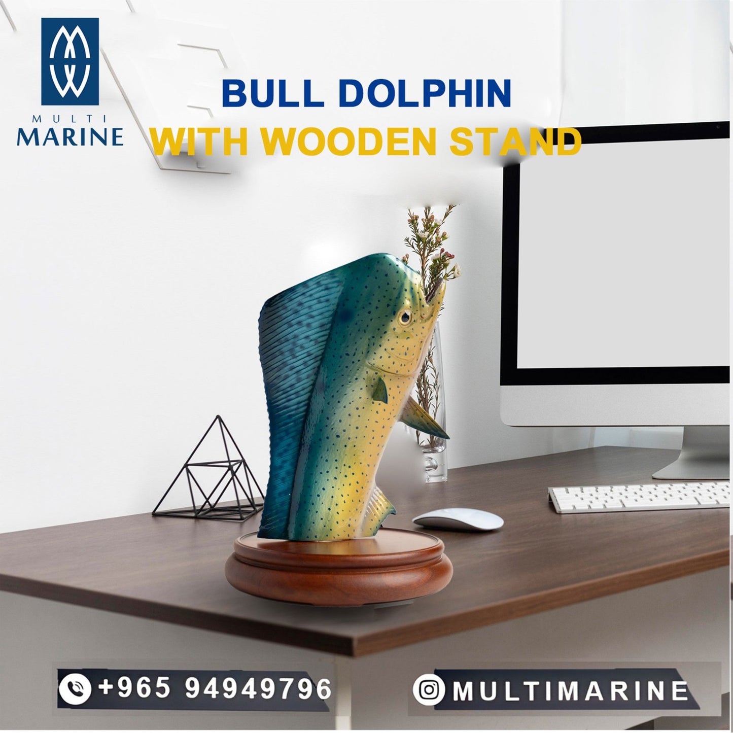 Fish decoration